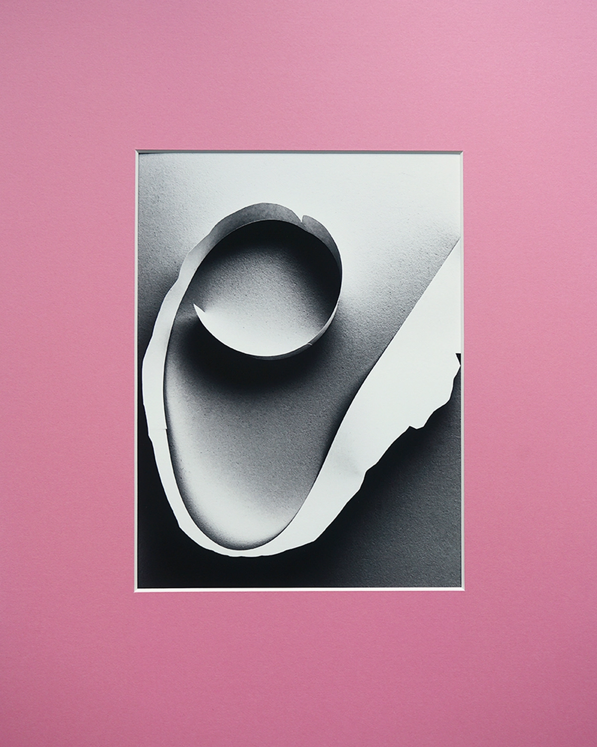 Jessica Backhaus - Fine Art Photography - The Nature of Things Photograph paper