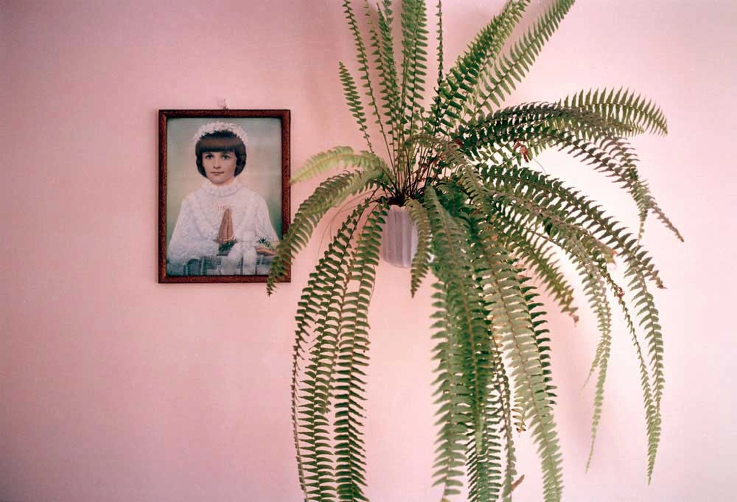 Jessica Backhaus - Fine Art Photography - Jesus and the Cherries Photograph