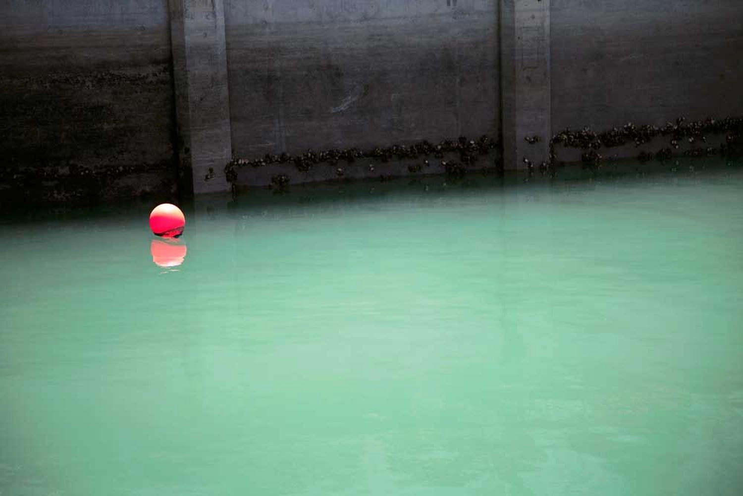 Jessica Backhaus - Fine Art Photography - Once, Still and Forever Photograph