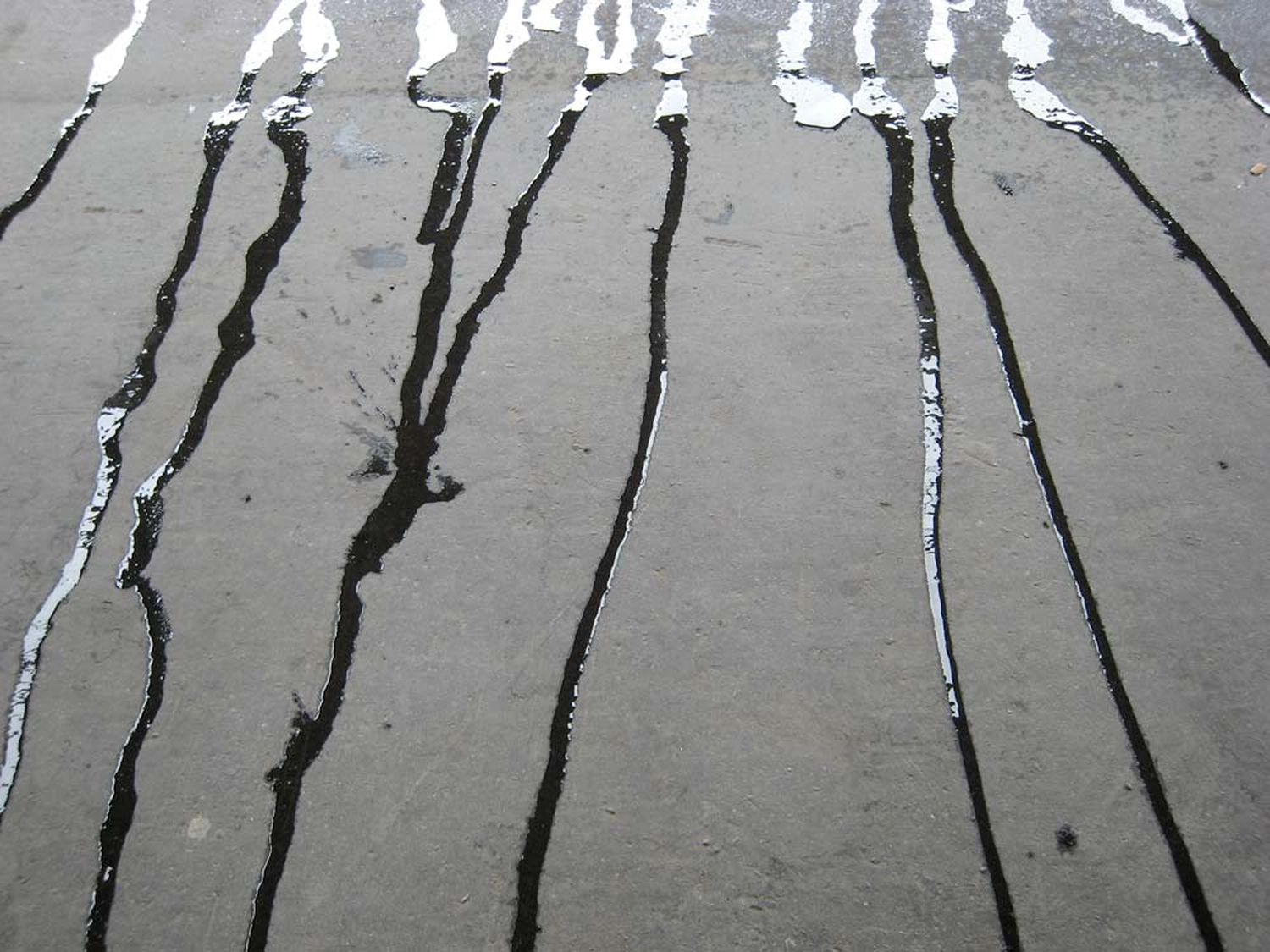 Jessica Backhaus - Fine Art Photography - One day in November Photograph