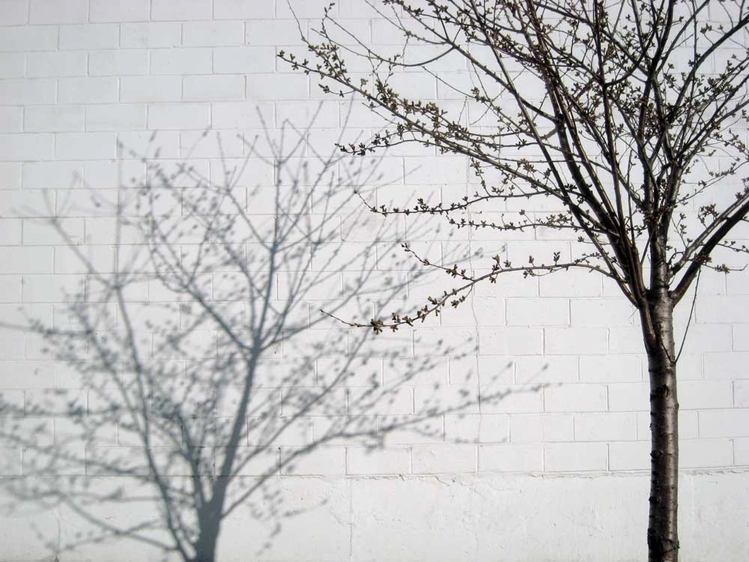 Jessica Backhaus - Fine Art Photography - One day in November Photograph