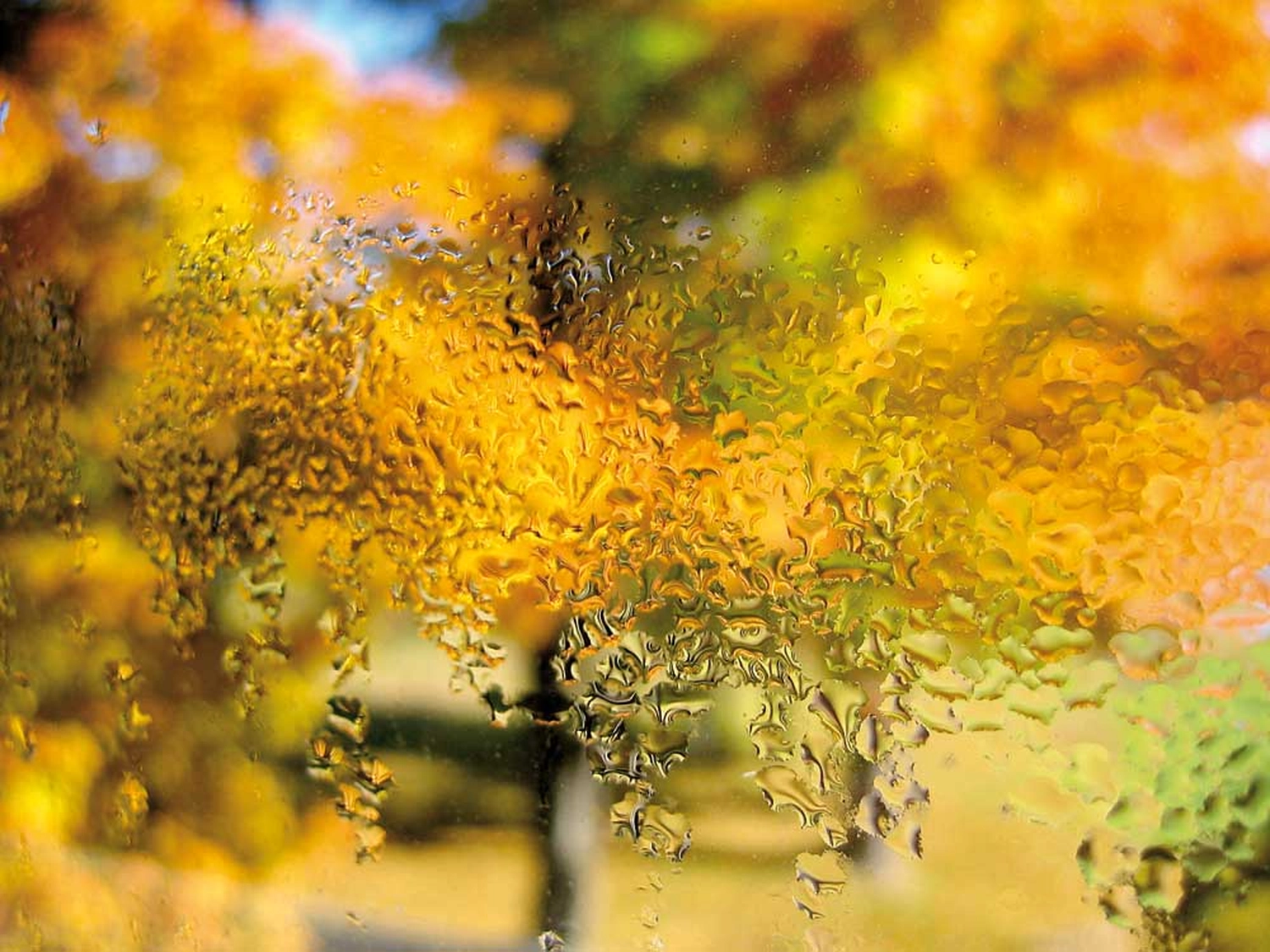 Jessica Backhaus - Fine Art Photography - One day in November Photograph