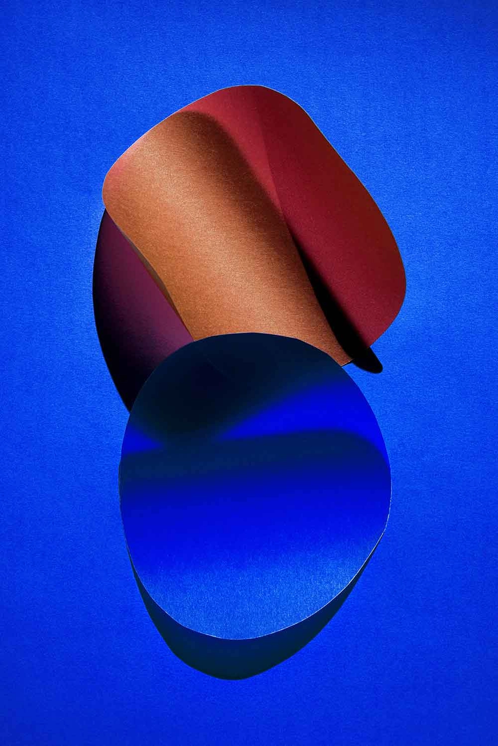Jessica Backhaus - Fine Art Photography - cut outs Photograph