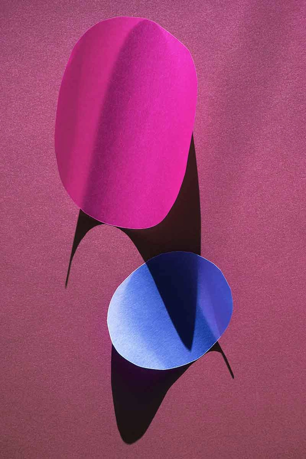 Jessica Backhaus - Fine Art Photography - cut outs Photograph