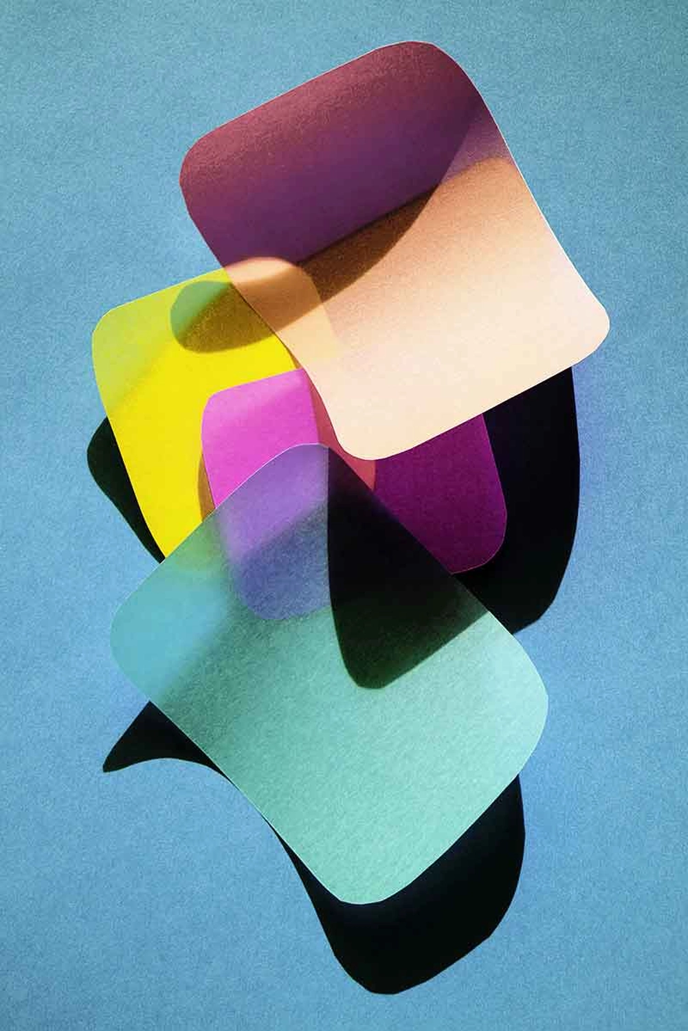 Jessica Backhaus - Fine Art Photography - cut outs Photograph