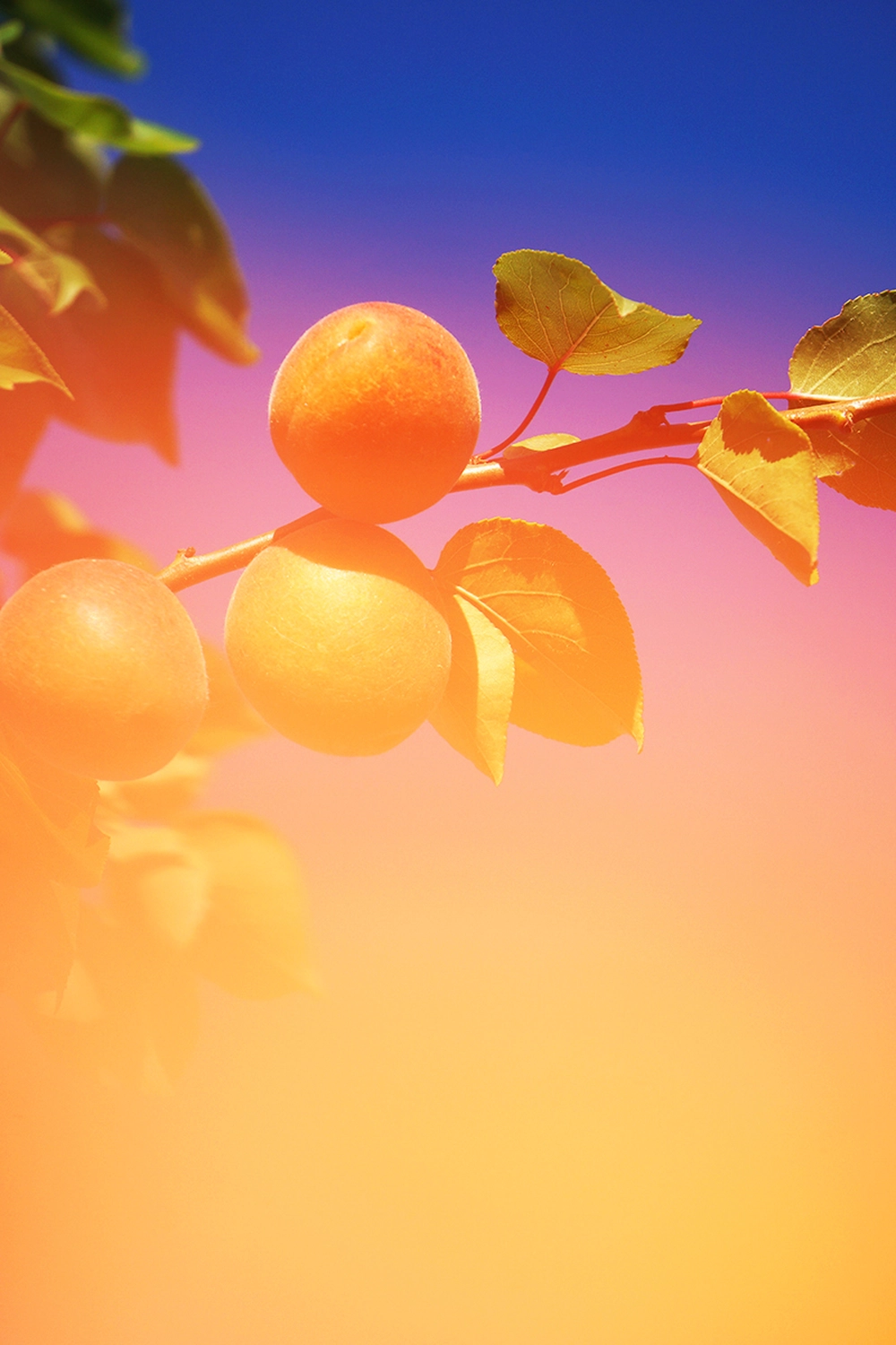 Jessica Backhaus - Fine Art Photography - Far away but close Photograph