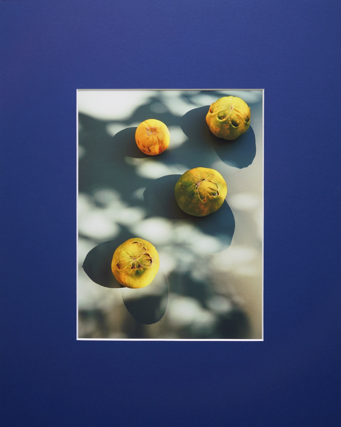 Jessica Backhaus - Fine Art Photography - The Nature of Things Photograph