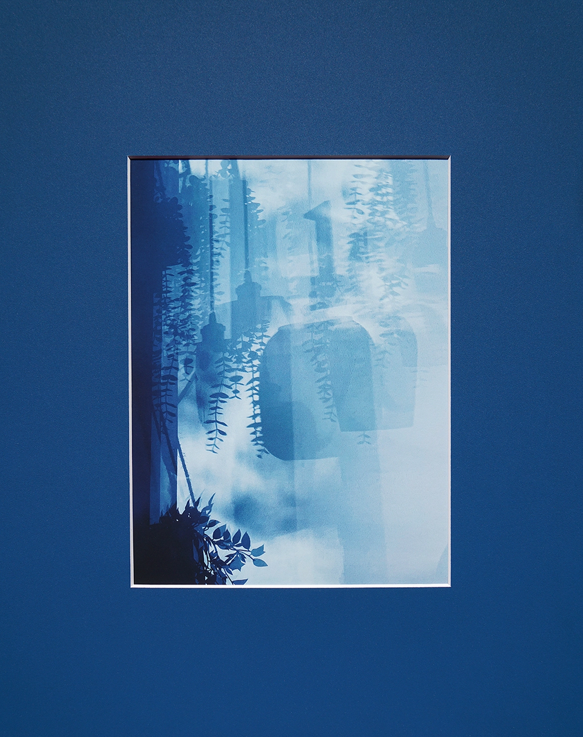 Jessica Backhaus - Fine Art Photography - The Nature of Things Photograph