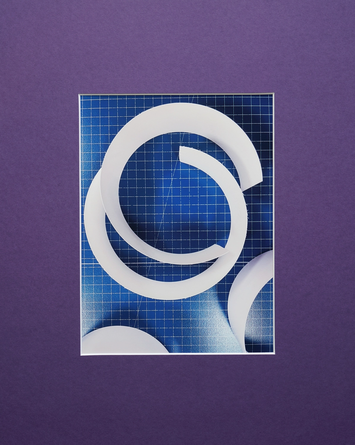 Jessica Backhaus - Fine Art Photography - The Nature of Things Photograph