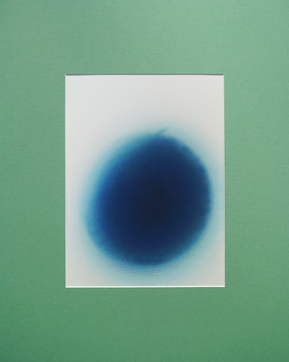 Jessica Backhaus - Fine Art Photography - The Nature of Things Photograph mystery