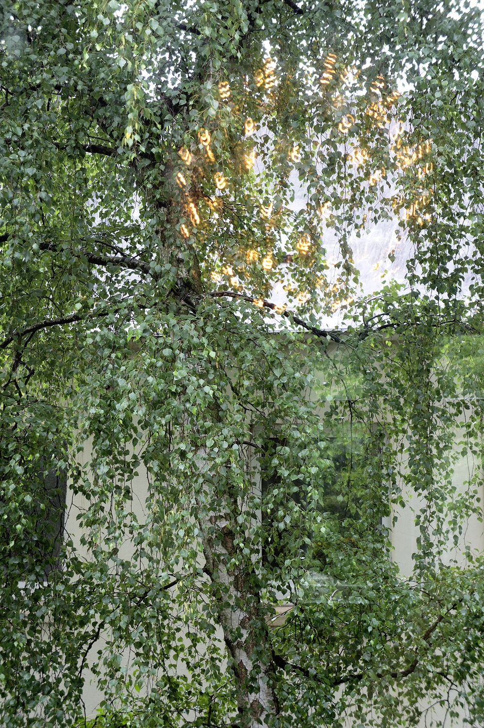 Jessica Backhaus - Fine Art Photography - Once, Still and Forever Photograph